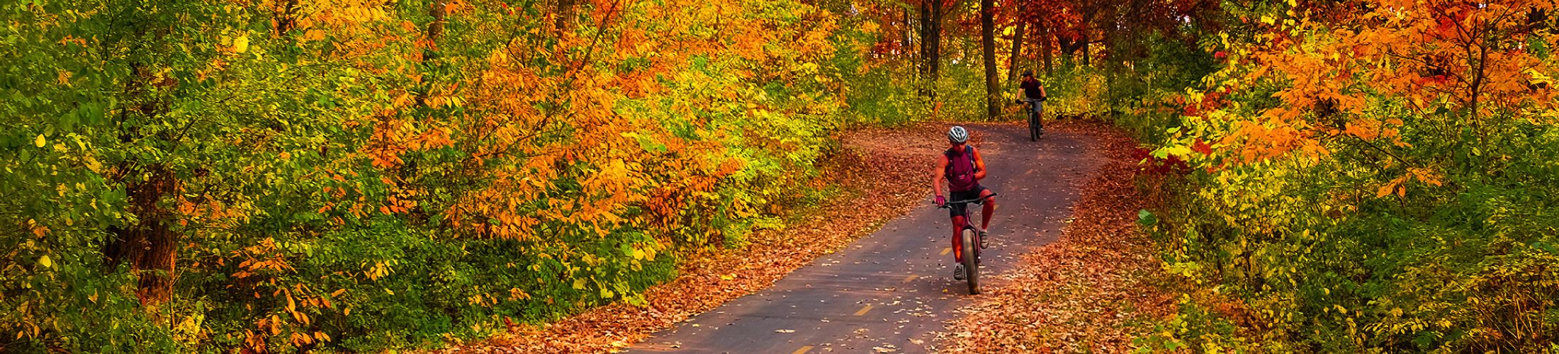 A person biking on a trail surrounded by fall colored trees with leaves on the ground