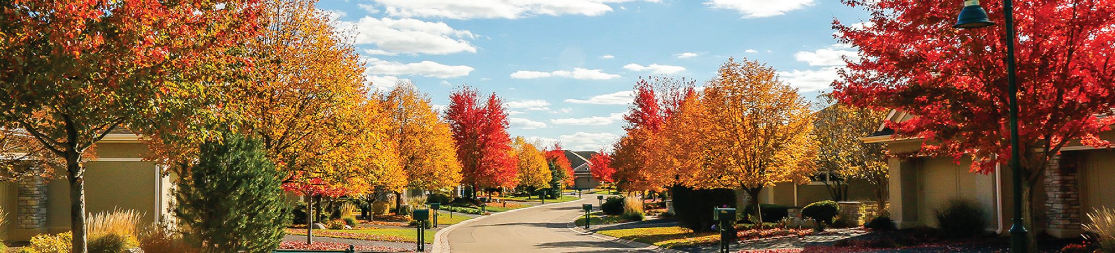 Neighborhood in Golden Valley during the Fall