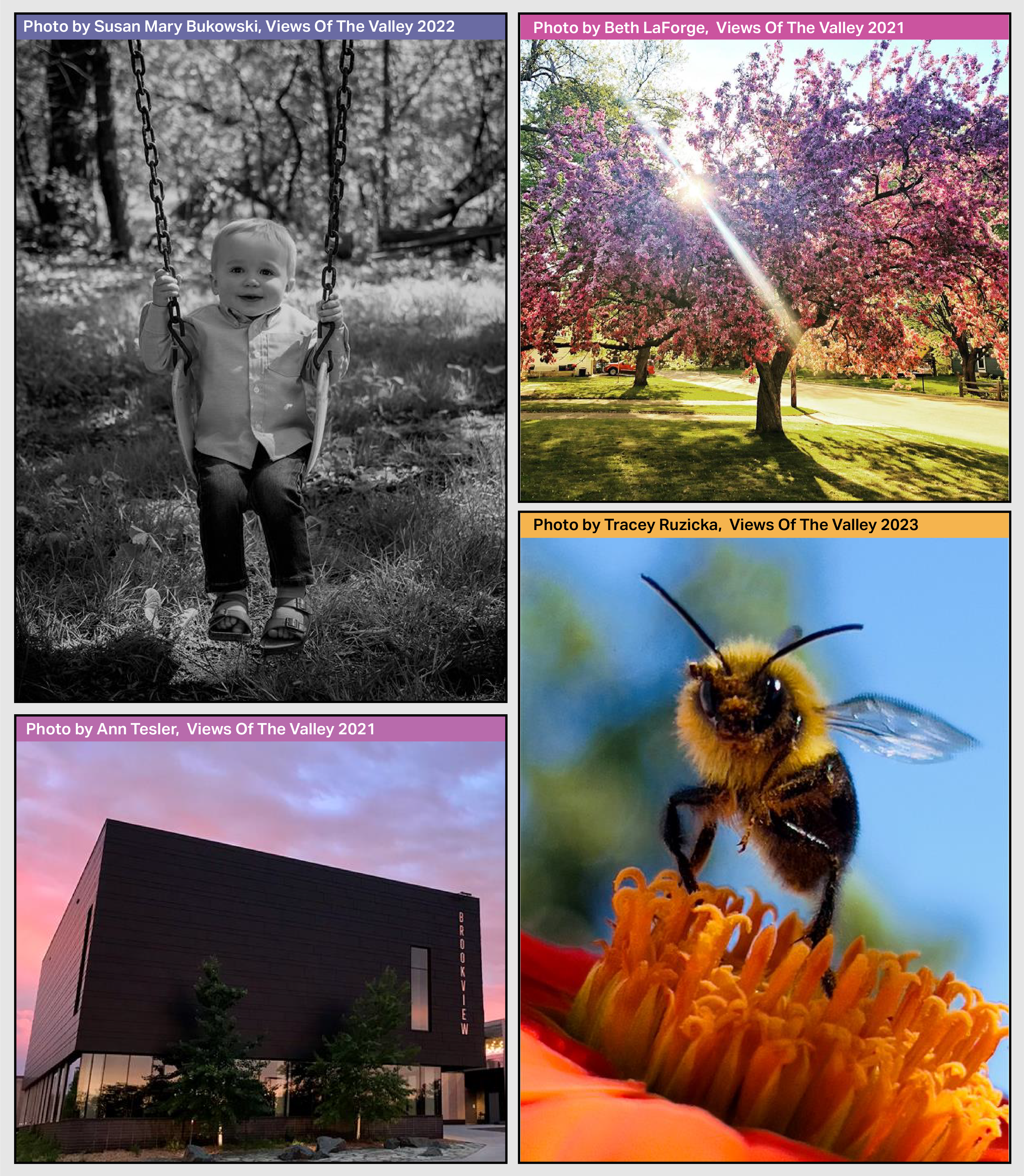 Views of the Valley photo contest collage