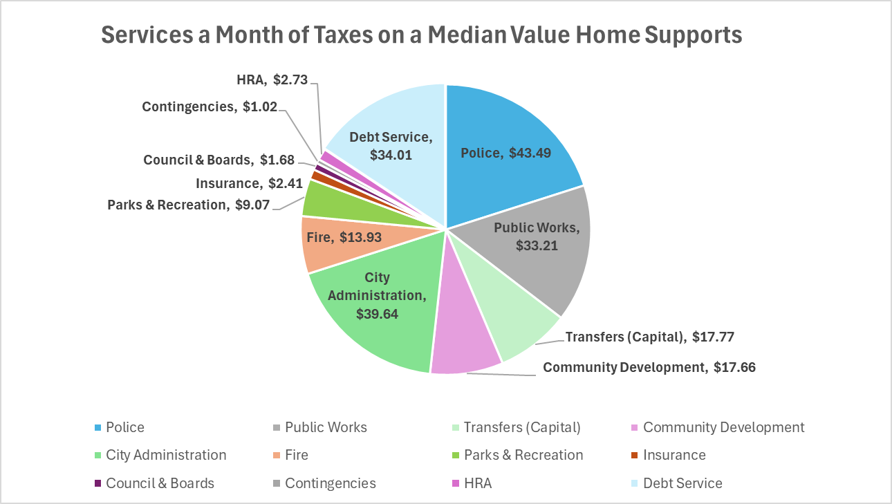 A Pie Graph that shows what taxes are going to.