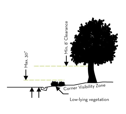 Tree Trimming Diagram